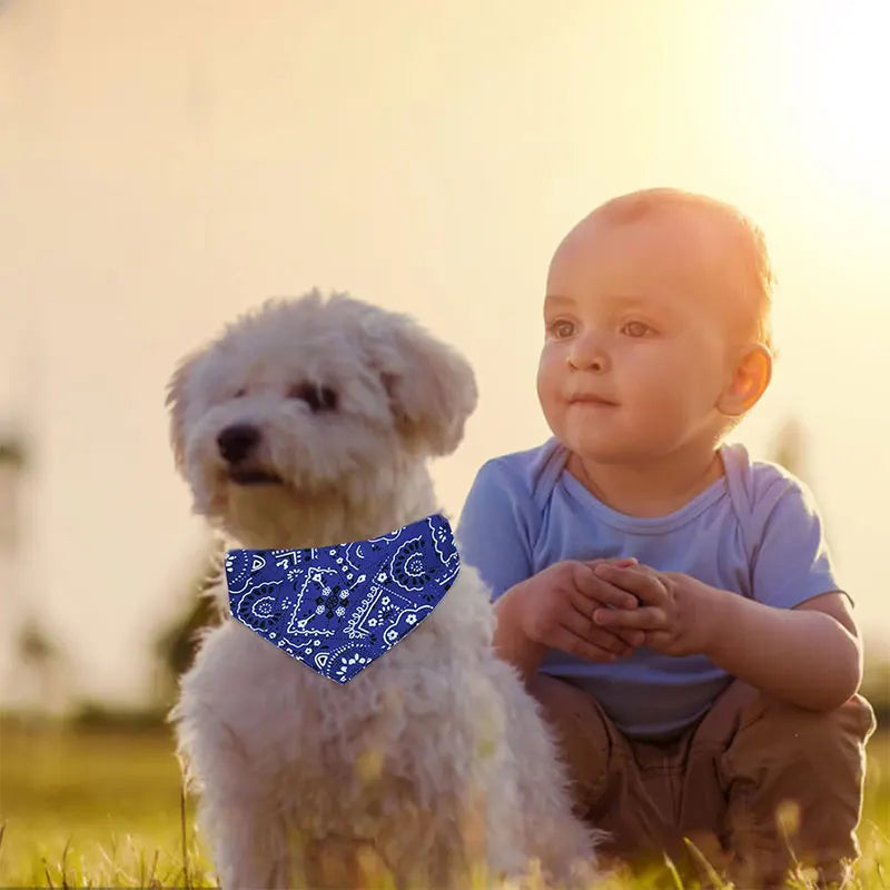 Seasonal Dog Bandanas