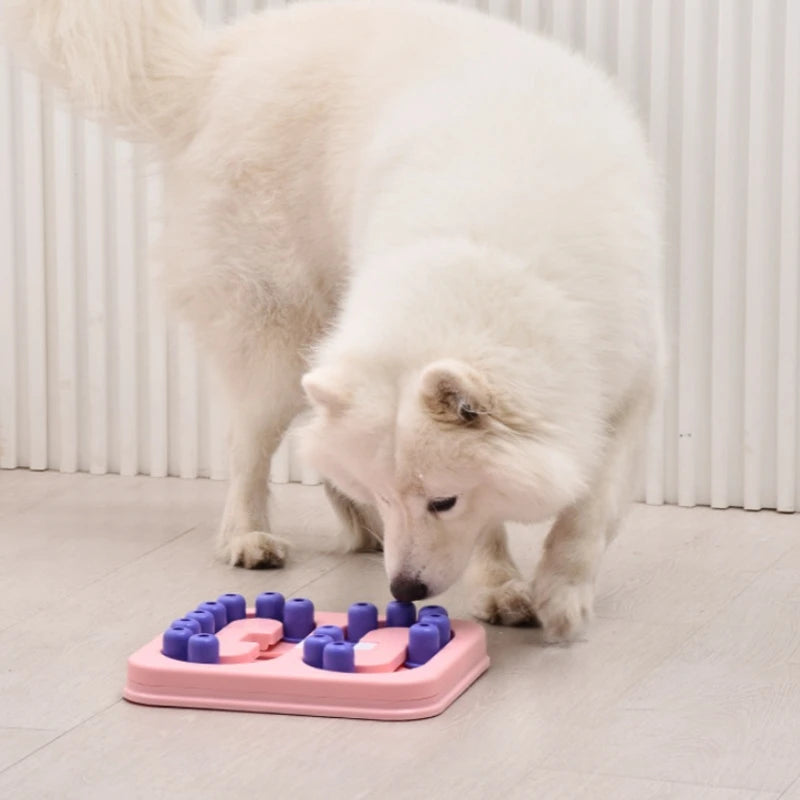 Treat- Dispensing Puzzle Toy