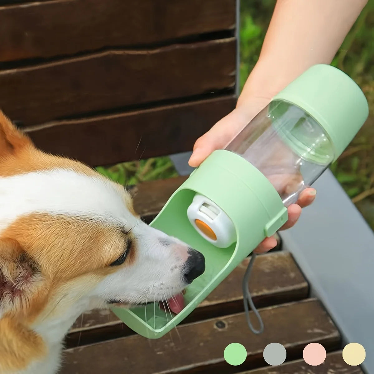 Portable Water Bottle