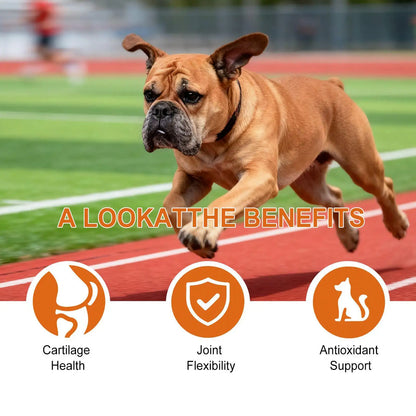 Joint Support Chews ( Glucosamine )